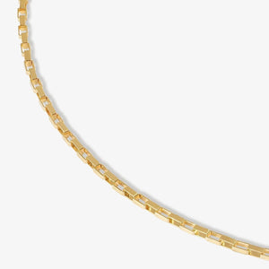 Axon Baby Box Chain Anklet