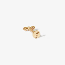 Load image into Gallery viewer, Case Micro Piercing Earring