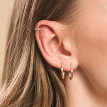 Load image into Gallery viewer, Dana Zirconia Hoop Earrings