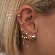 Load image into Gallery viewer, Fat Patt Piercing Earring