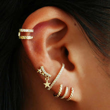 Load image into Gallery viewer, Ferdinand Piercing Earring
