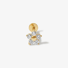 Load image into Gallery viewer, Lowen piercing yellow gold