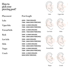 Load image into Gallery viewer, Case Micro Piercing Earring
