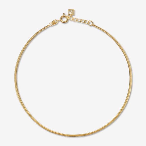 Saint Snake Chain Anklet