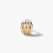 Load image into Gallery viewer, Sphen Fan Piercing Earring